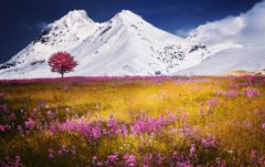 2021年农历六月十六这一天不能理发吗？