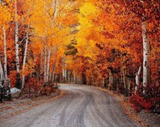 2021年农历六月初二日子好不好,是黄道吉日吗？