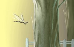 纳音命理：覆灯火命是什么意思?命运好吗？