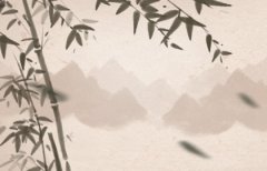 土命忌讳的颜色 木土色系要避免