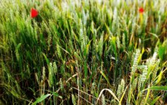 2021年农历六月十八是不是不能理发？