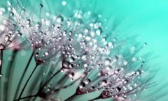 2021年农历六月二十能不能理发？