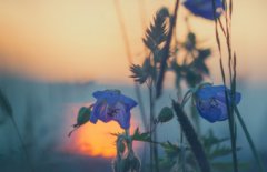 2021年农历六月二十二这一天不能理发吗？