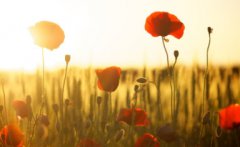 2021年农历六月十四是适合理发的日子吗？