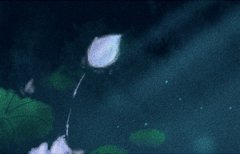 1966丙午年出生属马的五行缺什么,天河水男女命晚年如何