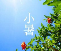 2021年小暑是几月几日？小暑卦象好不好？