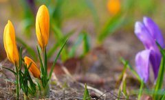 2021年农历六月初四可以理发吗，日子好不好？