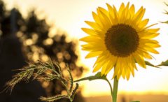 2021年农历六月理发吉日有哪些？