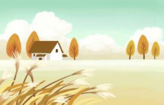 2005乙酉年出生属鸡的五行缺什么,泉中水命和什么相生相克