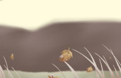 2019己亥年出生属猪的五行缺什么,平地木命和什么相生相克