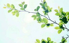 2021年7月7日小暑节气财神爷吉位在什么方位？