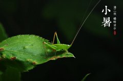 小暑天气如何？小暑有什么农谚？