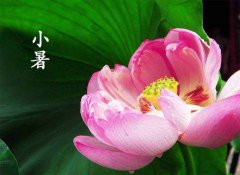 2021年小暑会不会下雨，小暑下雨有什么寓意？