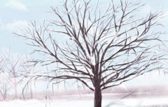 1987丁卯年出生属兔的五行缺什么,炉中火命和什么相生相克