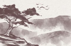 2002壬午年出生属马的五行缺什么,杨柳木命几月命较好