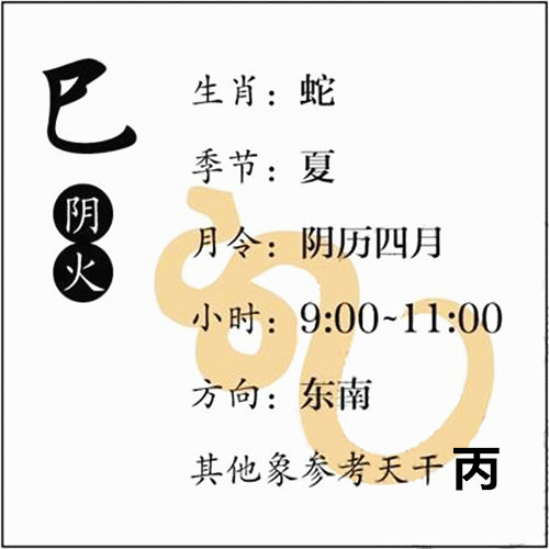 八字预测十二地支巳火