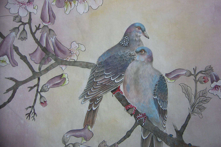 家里有斑鸠窝风水征兆先天吉运富贵悠久