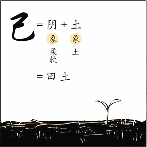 八字预测十天干己土