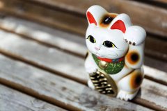 属猪的风水吉祥物 带来好运的关键