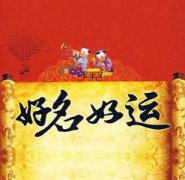 宝宝起名：有志向的，有寓意的男孩名字