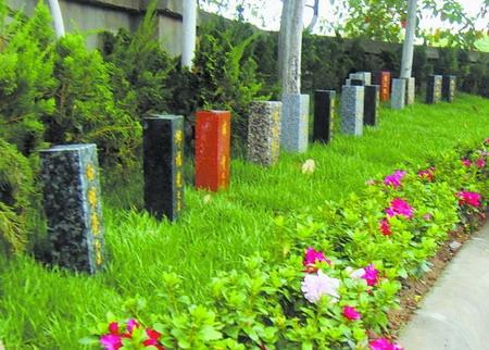 1575536734503385.jpg 3e6000125643352cf0d.jpg