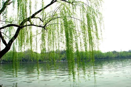 房屋六大风水禁忌不注意迟早会出事这样的房子白送都不能要 ...