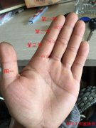 算命先生讲解一看就懂的手相图解知识教程