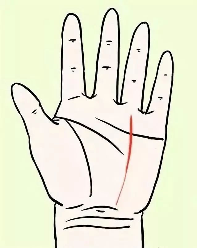 教你怎么从手纹看你适合哪个行业！