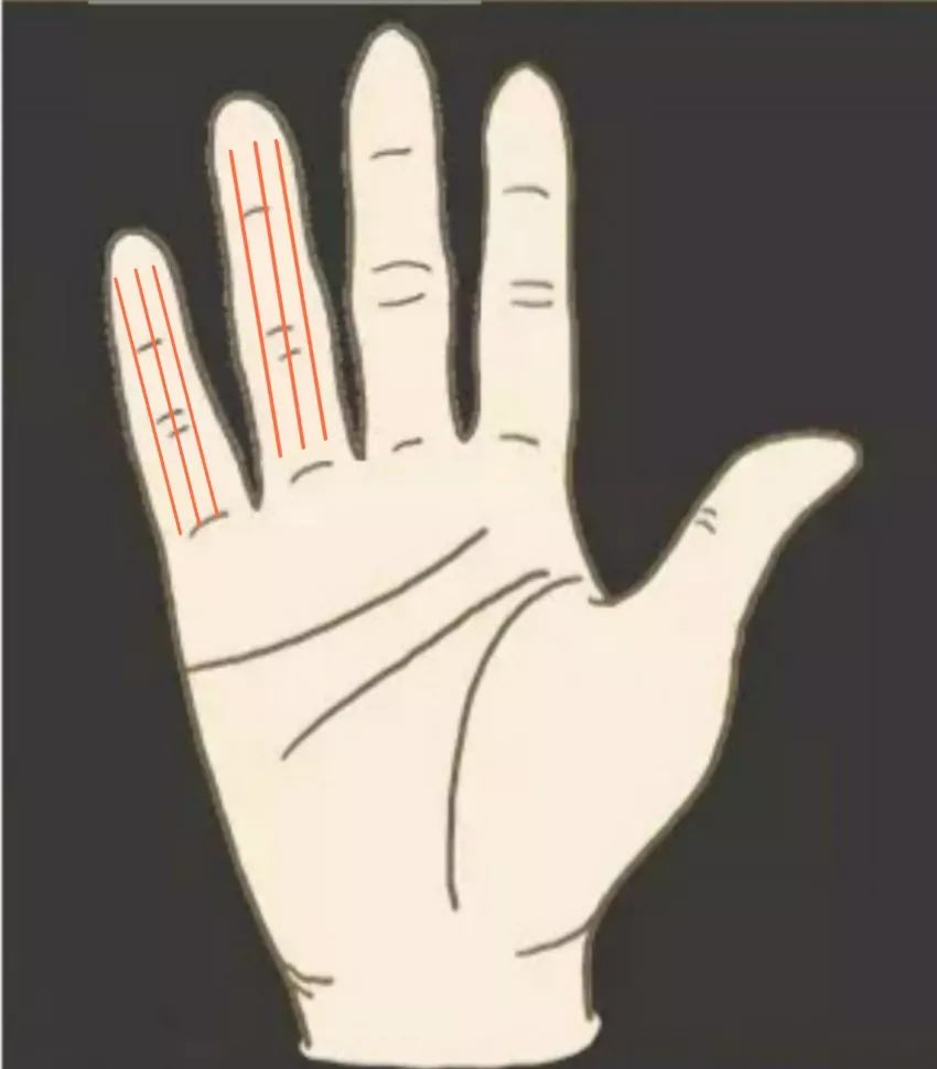 教你怎么从手纹看你适合哪个行业！