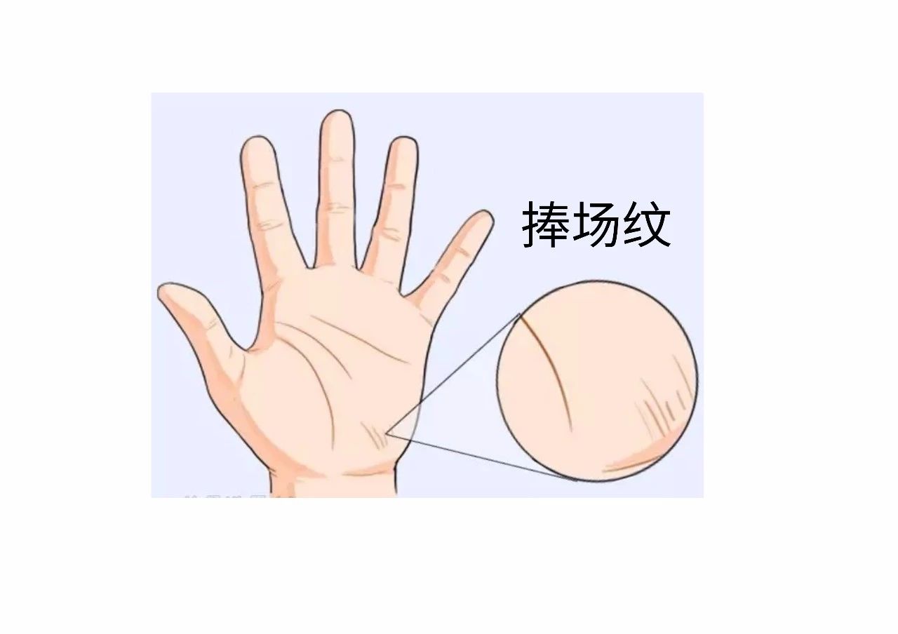 教你怎么从手纹看你适合哪个行业！