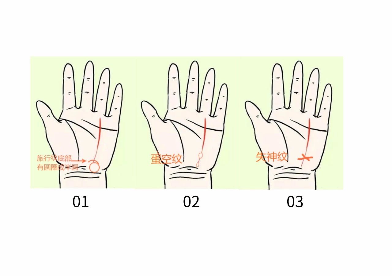 教你怎么从手纹看你适合哪个行业！