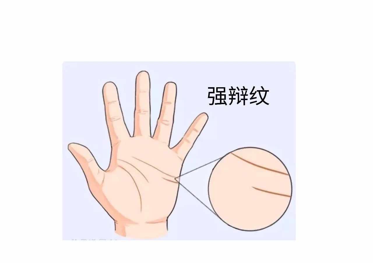 教你怎么从手纹看你适合哪个行业！