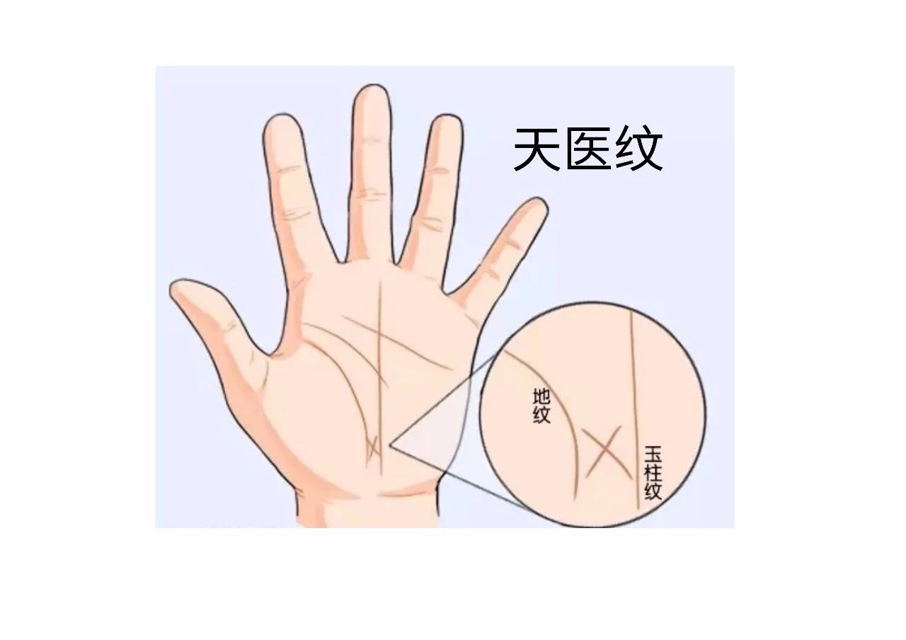 教你怎么从手纹看你适合哪个行业！