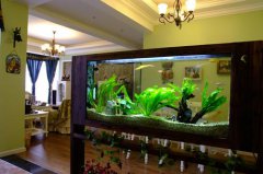 周易风水大师告诉你中鱼缸该如何摆放