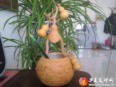 易经风水大师告诉你风水物品,可不能乱用!