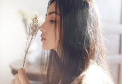 八字算命哪种女命性格较高冷？