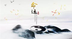 八字命理分析极致命局有哪些？