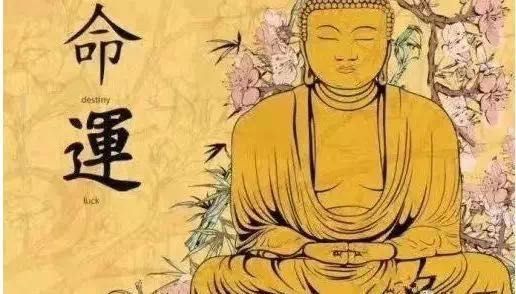 1577152060165801.jpg mmexport1556595196858.jpg