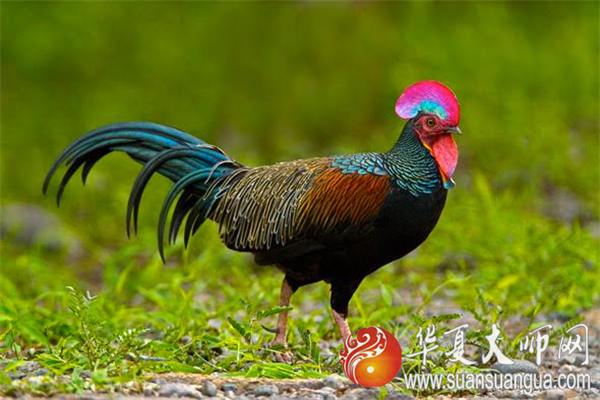 1577584727272391.jpg 1379849868WGNY5Sn1.jpg