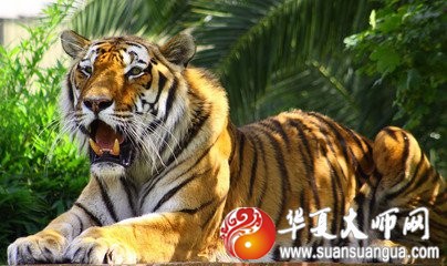 1577584749975100.jpg t017722b218b4e8b9d5.jpg