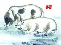 八字算命：生肖属猪女较怕几月出生