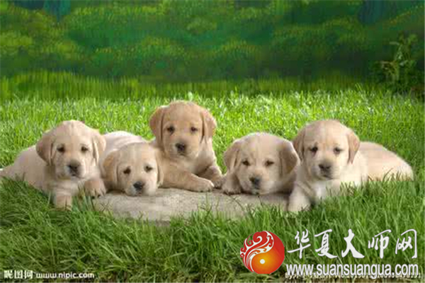 1577709128552528.jpg u=782815204,2113646361&fm=26&gp=0.jpg