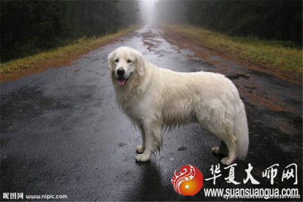 1577709894253887.jpg u=1546521877,4065825022&fm=26&gp=0.jpg