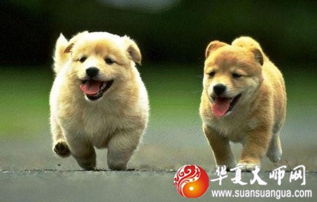 1577760182588459.jpg 1f820000091ee2dadd06.jpg