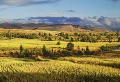 好听有创意的‏家庭农场起名大全