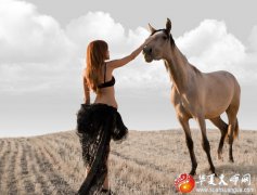 生肖算命分析2020年属马的命运如何