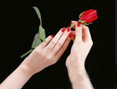 1578032981131771.jpg 5026359287.jpg