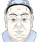 看相解说：虎眉面相算命图解