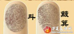指纹没有斗是什么命？手相命运分析