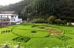 学风水者，必须要学会熟练较基本的基础知识，才能渐序渐进 ...